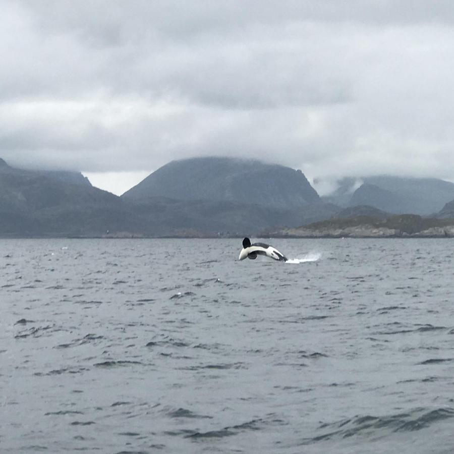 Fishermans Rorbu 3 - Lofoten Ramberg Exterior foto